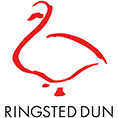ringsted_dun